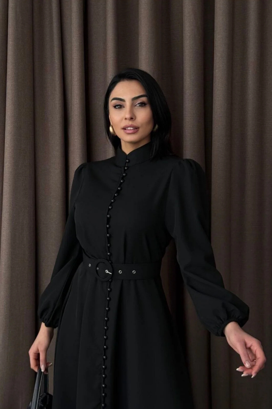 Atlas Kumaş Kalın İç Göstermez Düğme Detaylı Balıkçı Yaka Elbise (KEMER DAHİLDİR)-2511