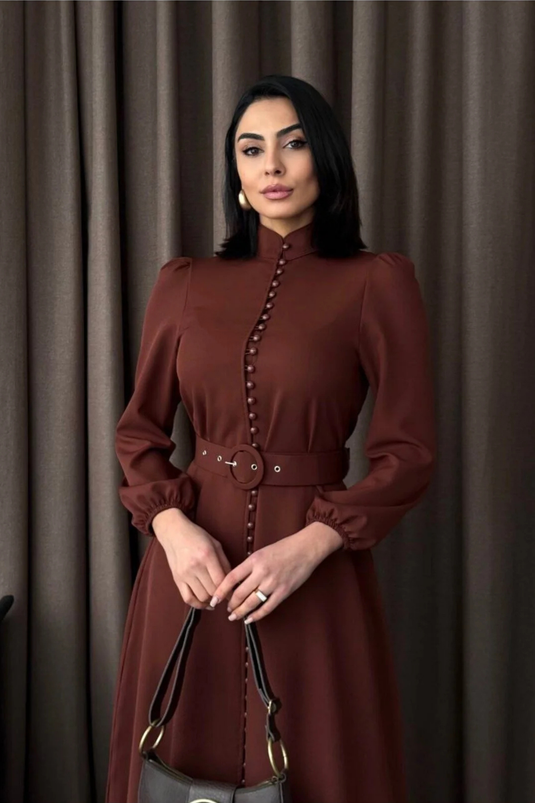 Atlas Kumaş Kalın İç Göstermez Düğme Detaylı Balıkçı Yaka Elbise (KEMER DAHİLDİR)-2511